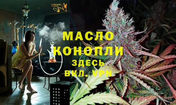 дмт Алзамай