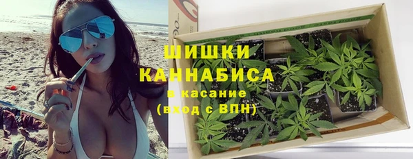 крисы Армянск
