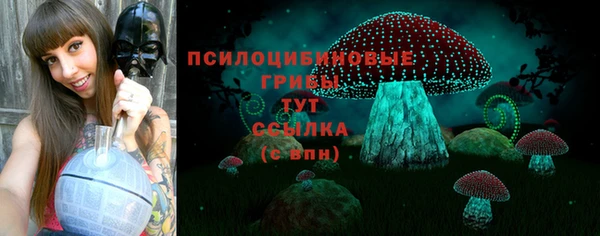 крисы Армянск