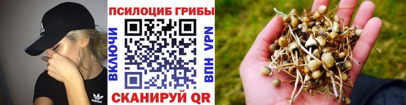 Псилоцибиновые грибы мицелий Полярные Зори