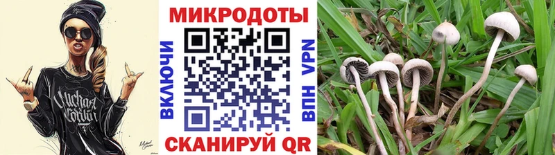 Псилоцибиновые грибы мицелий где продают Полярные Зори